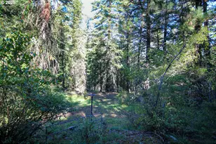 84745 Beske Ln, Joseph, OR 97846 - Photo 35