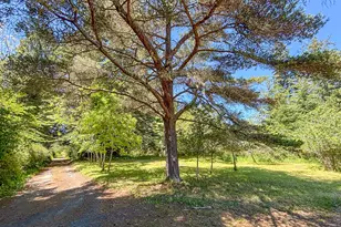 55955 Spring Creek Rd, Bandon, OR 97411 - Photo 23