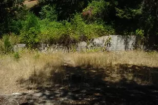 691 Grandview St, Glide, OR 97443 - Photo 17