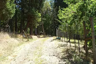 691 Grandview St, Glide, OR 97443 - Photo 15