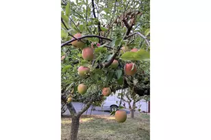 5339 Hardscrabble Rd, Drain, OR 97435 - Photo 39