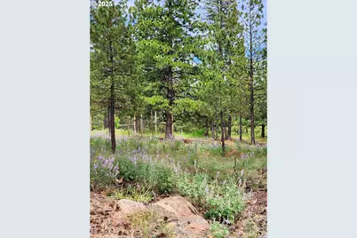 355 Tamarack, Goldendale, WA 98620 - Photo 39