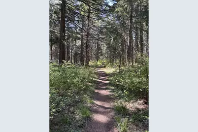 101 Cooke Rd, White Salmon, WA 98672 - Photo 33