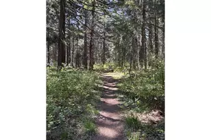 101 Cooke Rd, White Salmon, WA 98672 - Photo 33