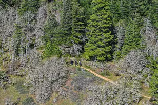 101 Cooke Rd, White Salmon, WA 98672 - Photo 29