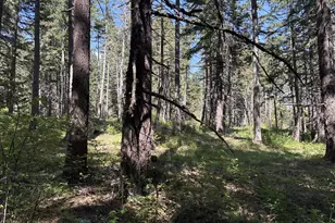 101 Cooke Rd, White Salmon, WA 98672 - Photo 35