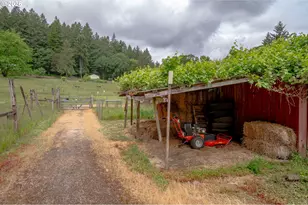 14601 NW Pheasant Hill Rd, McMinnville, OR 97128 - Photo 31