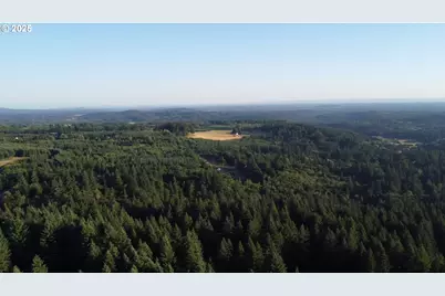 0 NE 171st Ct, Yacolt, WA 98675 - Photo 15