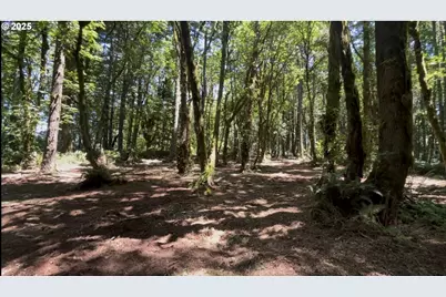 0 NE 171st Ct, Yacolt, WA 98675 - Photo 5