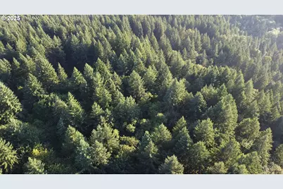 0 NE 171st Ct, Yacolt, WA 98675 - Photo 13