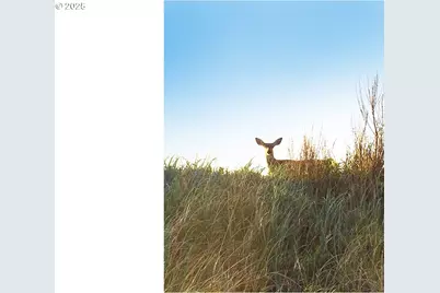 31405 J Pl, Ocean Park, WA 98640 - Photo 11