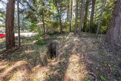 46963 Highway 101, Bandon, OR 97411 - Photo 19
