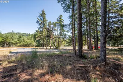 46963 Highway 101, Bandon, OR 97411 - Photo 7