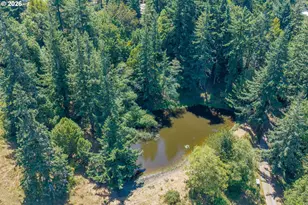 94714 Conklin Meadow Ln, Broadbent, OR 97414 - Photo 19