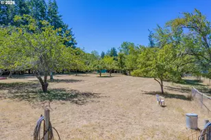 94714 Conklin Meadow Ln, Broadbent, OR 97414 - Photo 43