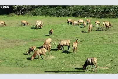 769 Deans Creek Rd, Reedsport, OR 97467 - Photo 43