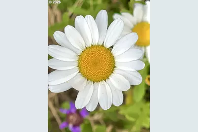 769 Deans Creek Rd, Reedsport, OR 97467 - Photo 39