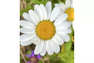 769 Deans Creek Rd, Reedsport, OR 97467 - Photo 39