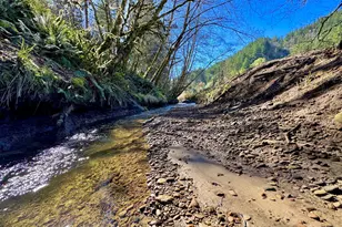 769 Deans Creek Rd, Reedsport, OR 97467 - Photo 41