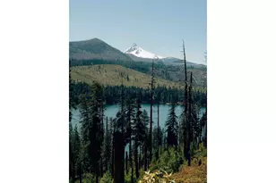 57255 N Bank Rd, McKenzie Bridge, OR 97413 - Photo 43
