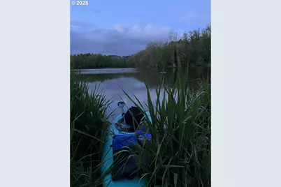 15116 NE Grantham Rd, Amboy, WA 98601 - Photo 9