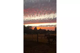 38717 Dexter Rd, Dexter, OR 97431 - Photo 33