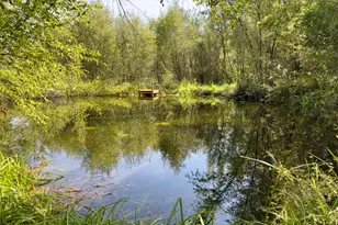 26272 Pine Creek Rd, John Day, OR 97845 - Photo 41