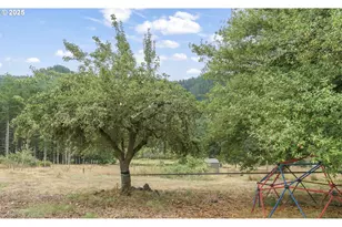 15755 Hwy 36, Deadwood, OR 97430 - Photo 3