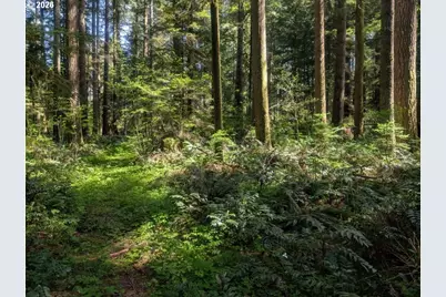 62955 E Mountain Country Ln, Mount Hood Village, OR 97011 - Photo 11