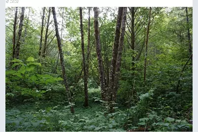 0000 NE Buncombe Hollow Rd, Woodland, WA 98674 - Photo 7