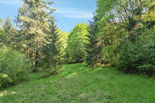 43288 Rodgers Mountain Loop, Scio, OR 97374 - Photo 29