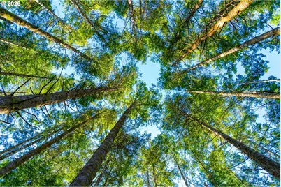 Newport Heights Dr #TL106, Newport, OR 97365 - Photo 9