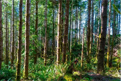 Newport Heights Dr #TL106, Newport, OR 97365 - Photo 15