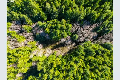 Newport Heights Dr #TL106, Newport, OR 97365 - Photo 5