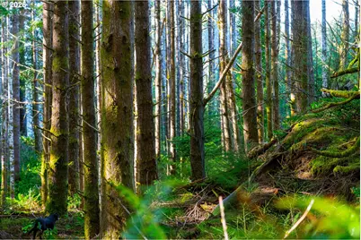 Newport Heights Dr #TL106, Newport, OR 97365 - Photo 13