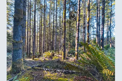 Newport Heights Dr #TL106, Newport, OR 97365 - Photo 37