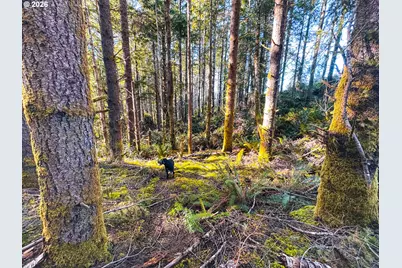 Newport Heights Dr #TL106, Newport, OR 97365 - Photo 39