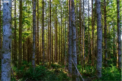 Newport Heights Dr #TL106, Newport, OR 97365 - Photo 11