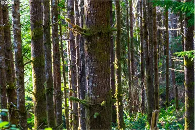 Newport Heights Dr #TL106, Newport, OR 97365 - Photo 17