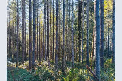 Newport Heights Dr #TL106, Newport, OR 97365 - Photo 35