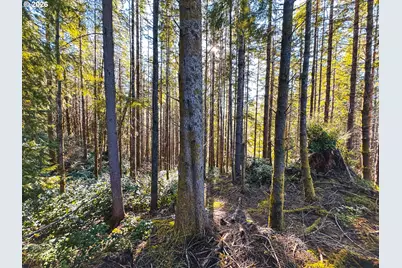 Newport Heights Dr #TL106, Newport, OR 97365 - Photo 43