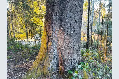 Newport Heights Dr #TL106, Newport, OR 97365 - Photo 33