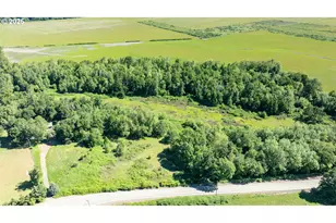 687 Hubbard Creek Rd, Umpqua, OR 97486 - Photo 31