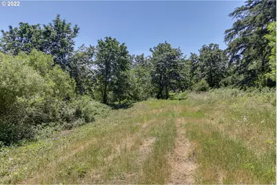 Delight Valley Schl Rd, Cottage Grove, OR 97424 - Photo 7