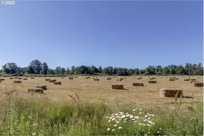 Delight Valley Schl Rd, Cottage Grove, OR 97424 - Photo 13