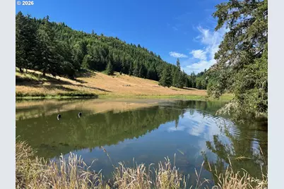 355 Banks Creek Rd, Sutherlin, OR 97479 - Photo 41