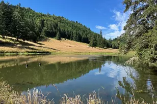 355 Banks Creek Rd, Sutherlin, OR 97479 - Photo 41