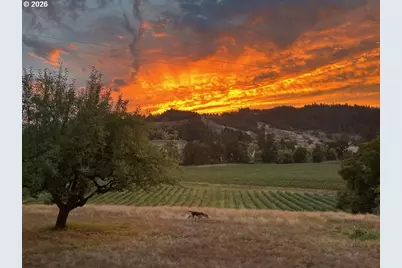 355 Banks Creek Rd, Sutherlin, OR 97479 - Photo 1