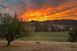 355 Banks Creek Rd, Sutherlin, OR 97479 - Photo 1