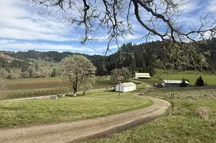 355 Banks Creek Rd, Sutherlin, OR 97479 - Photo 3